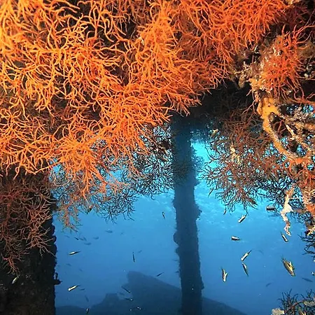Abwonderdive Beach Resort Bali
