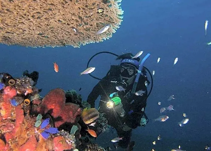 Abwonderdive ホテル