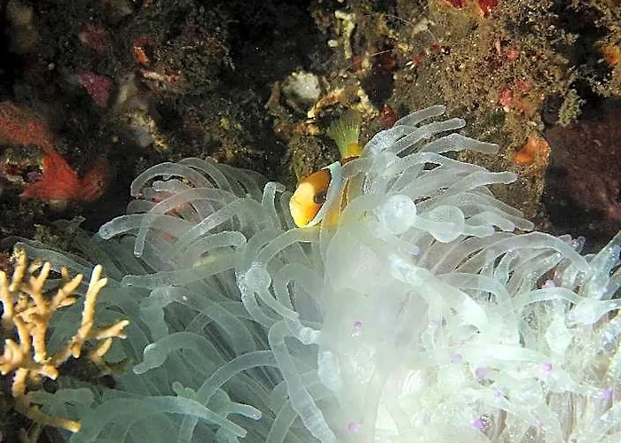ホテル Abwonderdive